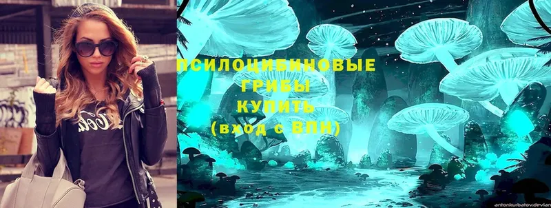 где продают   OMG ТОР  Псилоцибиновые грибы Magic Shrooms  Кулебаки 